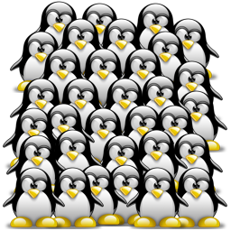 Linux Özelleştirmeler